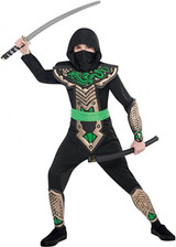 Boys Dragon Slayer Ninja Costume