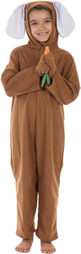 Kids Brown Rabbit/Hare Costume