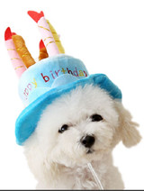 Dog Blue Birthday Hat