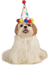 Boy Dog Birthday Hat