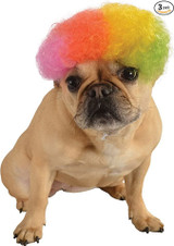 Dog Rainbow Afro Wig