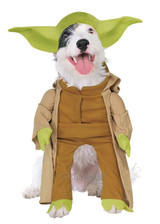 Dog Yoda