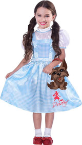 Dorothy Costume