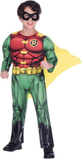 Child Boys Official Warner Bros Robin Deluxe Costume