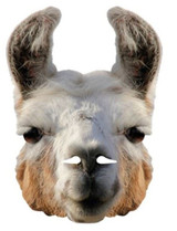 Llama Mask