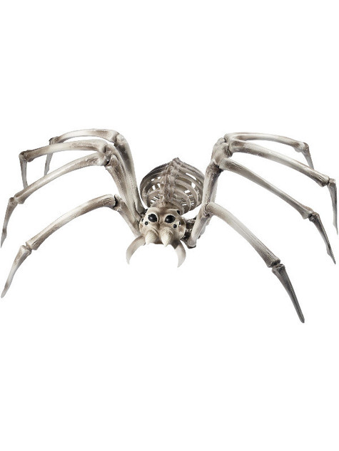 Spider Skeleton Prop, Natural
