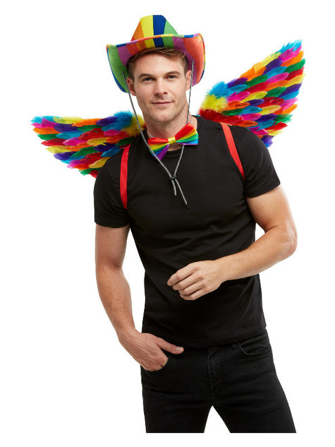 Rainbow Feather Wings, Multi-Coloured