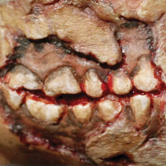 3D Zombie Rotting Cheek Prosthetic Transfer