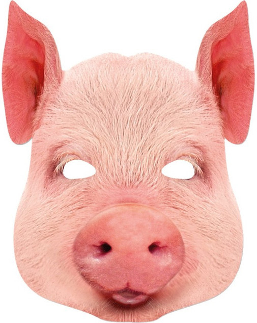 Adult Pig Fancy Dress Face Mask