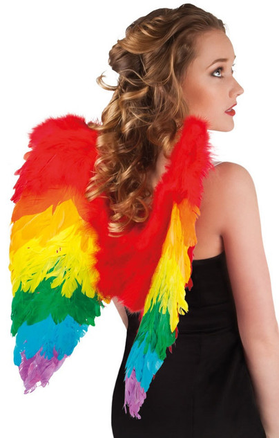 Ladies Rainbow Feather Wings