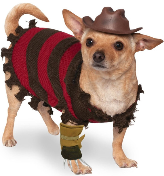 Dog Freddie Krueger Fancy Dress Costume