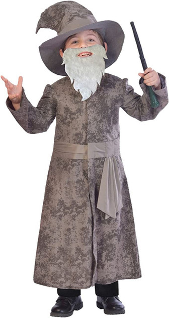 Grey Costume with Beard, Wizard Hat and Wand