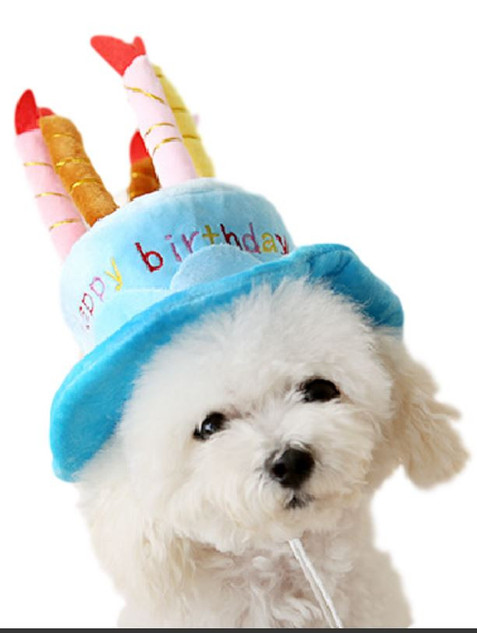 Dog Blue Birthday Hat