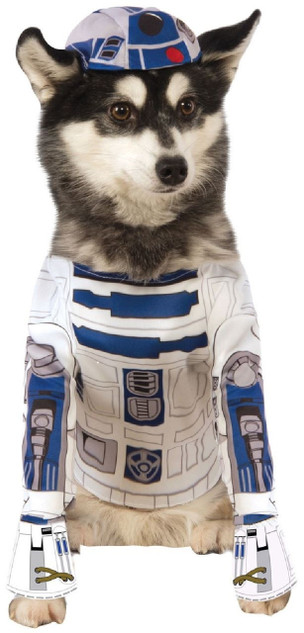 Dog R2D2