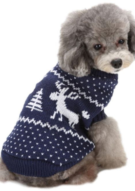 Dog Blue Festive Sweater