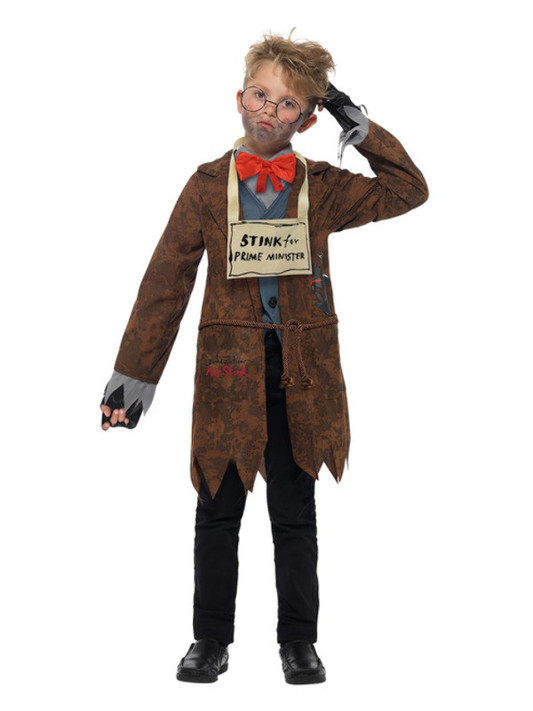 David Walliams Deluxe Mr Stink Costume, Brown