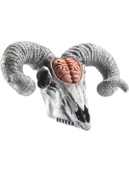 Latex Rams Skull Prop with Exposed Brain, Natural