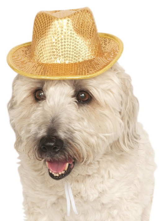 Dog Gold Sequinned Fedora Hat