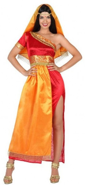 Ladies Sexy Bollywood Fancy Dress Costume