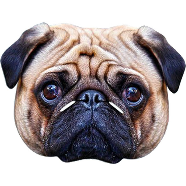 Adult Pug Fancy Dress Face Mask