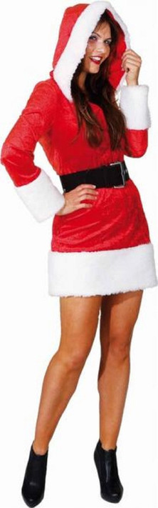 Ladies Sexy Hooded Miss Santa Fancy Dress Costume