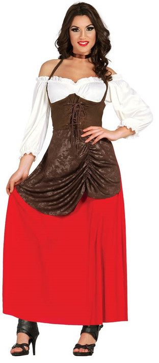 Ladies Tavern Girl Fancy Dress Costume