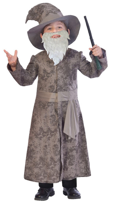 Boys Wise Wizard Fancy Dress Costume