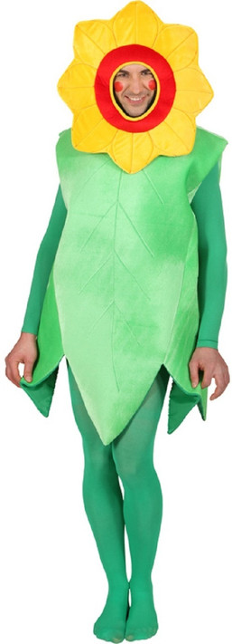 Adults Flower Fancy Dress Costume