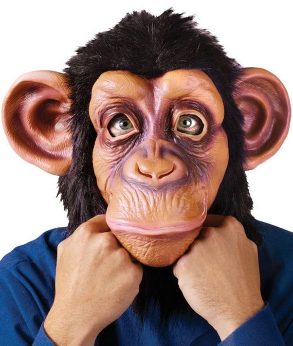 Comical Chimp Mask