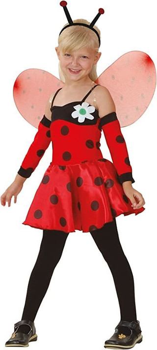 Girls Ladybird Costume
