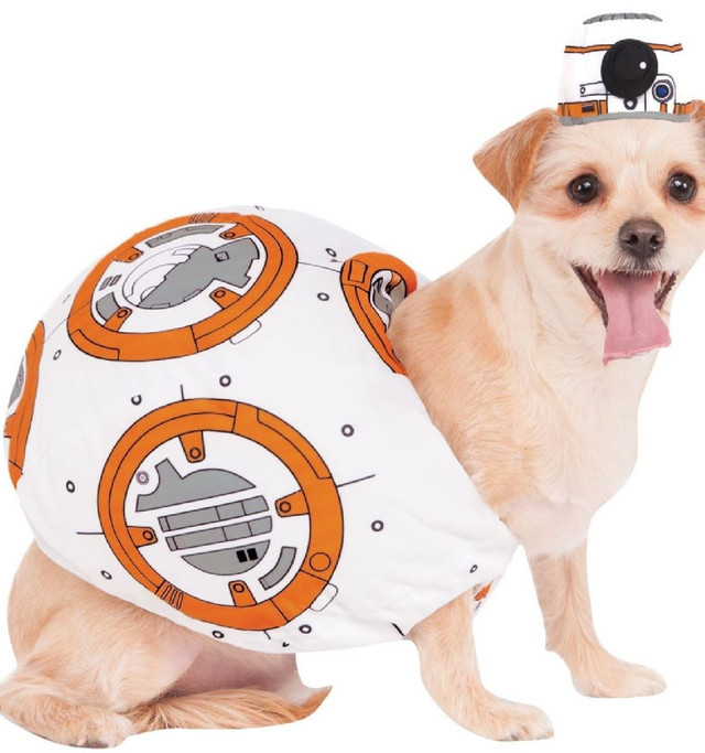 Dog BB8