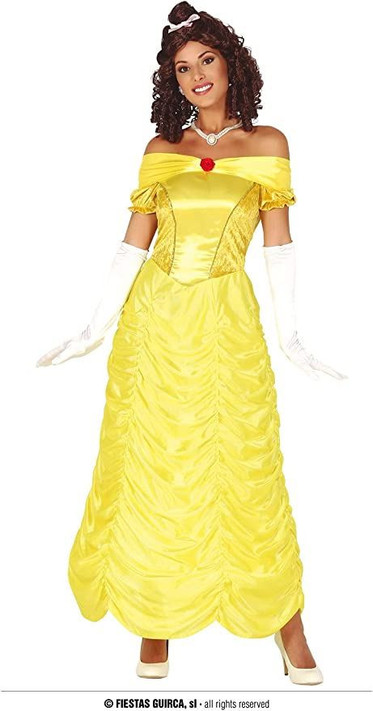 Princess Fancy Dress Costume Adult Women