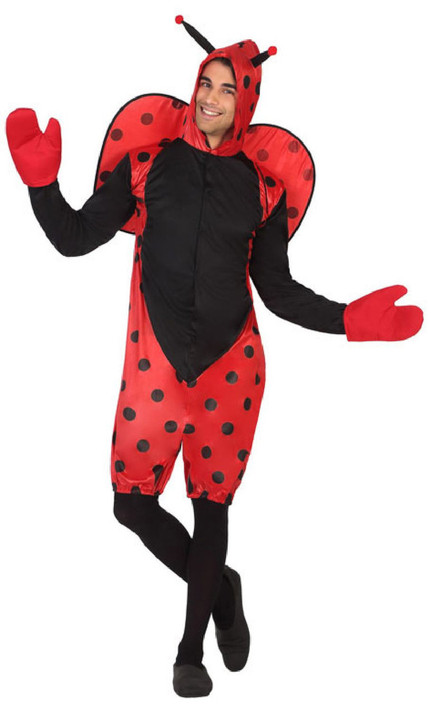 Adults Ladybird Fancy Dress Costume