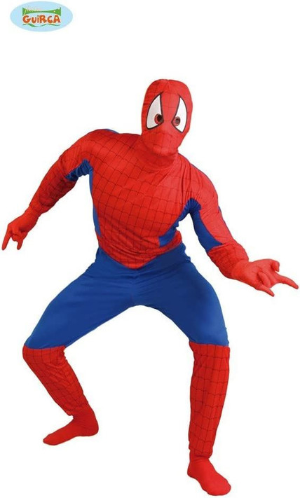 Mens Spider Hero Costume