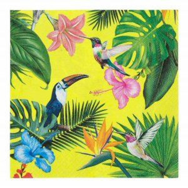 Tropical Fiesta Bright Napkins