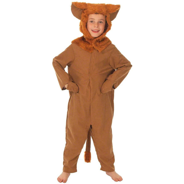 Lion Costume