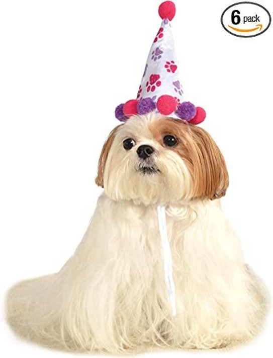 Girl Dog Birthday Hat