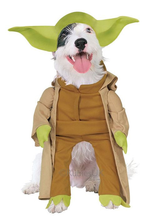 Dog Yoda