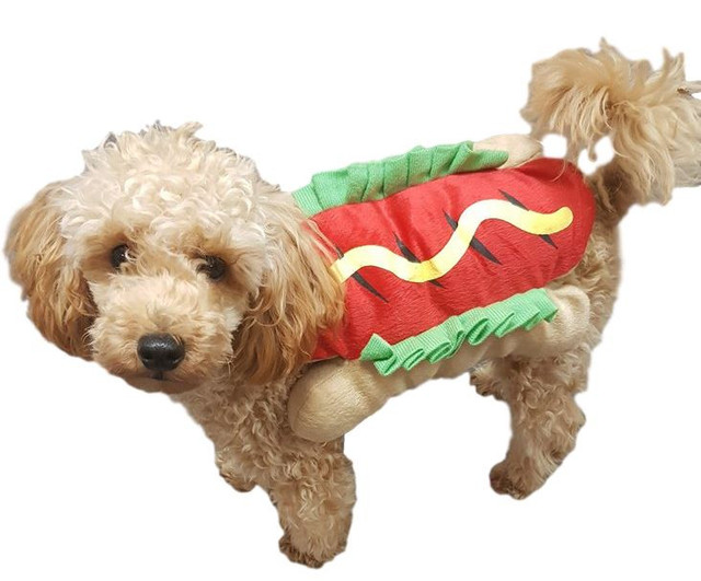 Dog Hot Dog