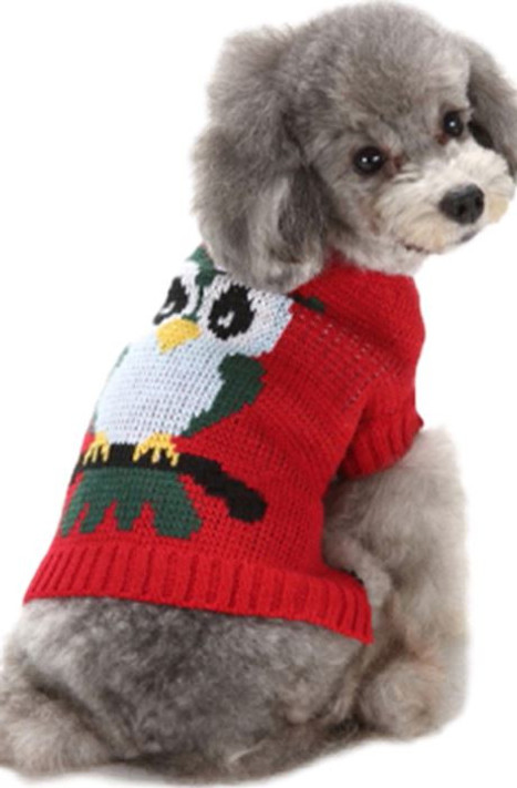 Dog Owl Sweater