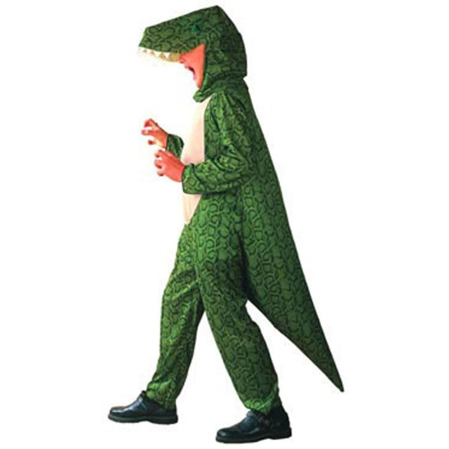 Kids Dinosaur Costume