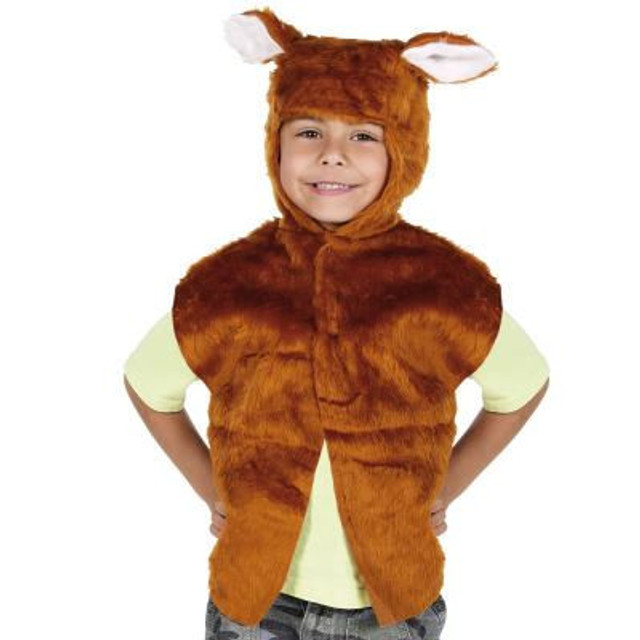 Childs Fox Tabard Costume