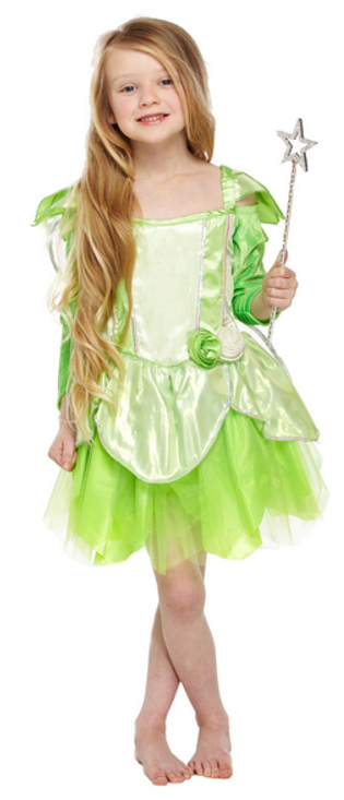 Girls Green Fairy Fancy Dress Costume