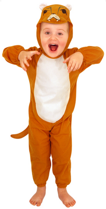 Child's Lion Fancy Dress 2