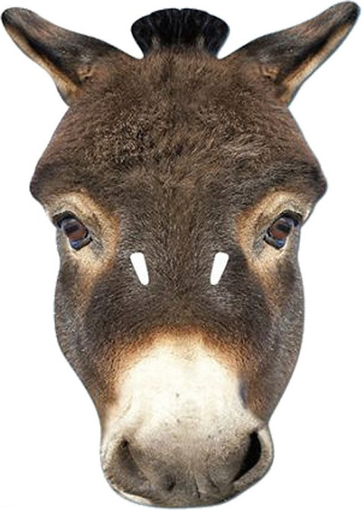 Adult Donkey Fancy Dress Face Mask