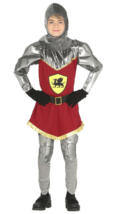 Boys Dragon Slayer Fancy Dress Costume