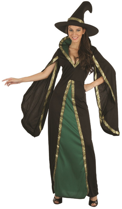 Ladies Wicked Green Witch Fancy Dress Costume