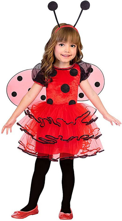 Ladybird Fairy