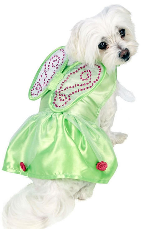 Dog Tinkerbell