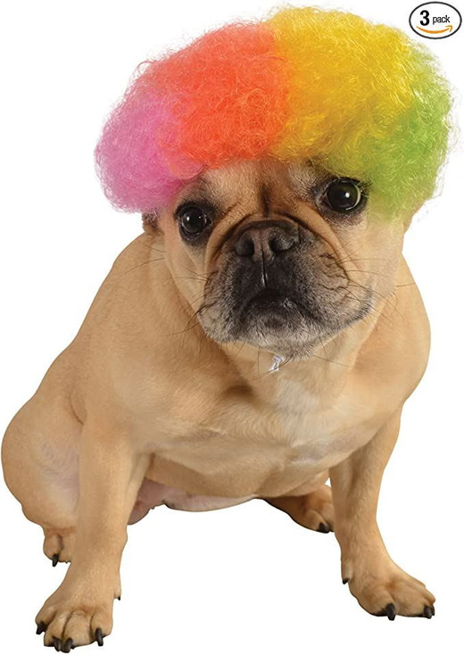Dog Rainbow Afro Wig